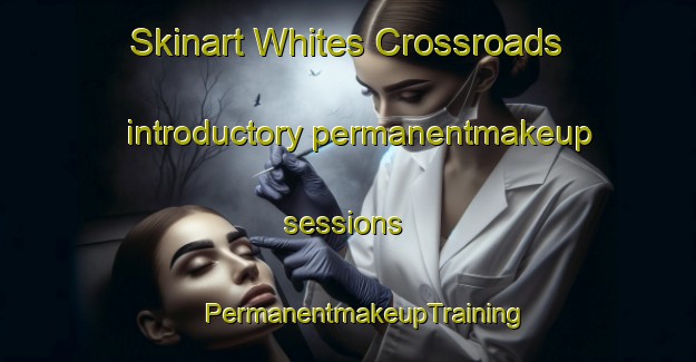 Skinart Whites Crossroads introductory permanentmakeup sessions | #PermanentmakeupTraining #PermanentmakeupClasses #SkinartTraining-United States