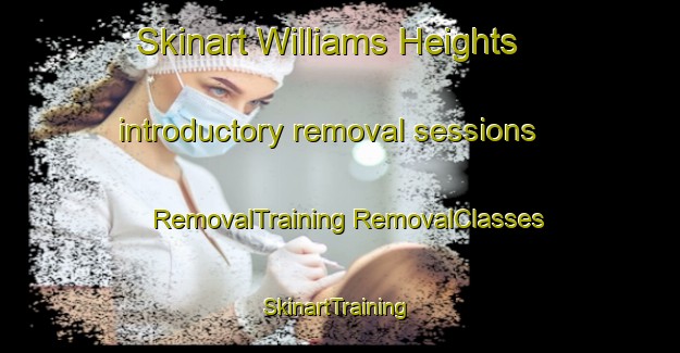 Skinart Williams Heights introductory removal sessions | #RemovalTraining #RemovalClasses #SkinartTraining-United States