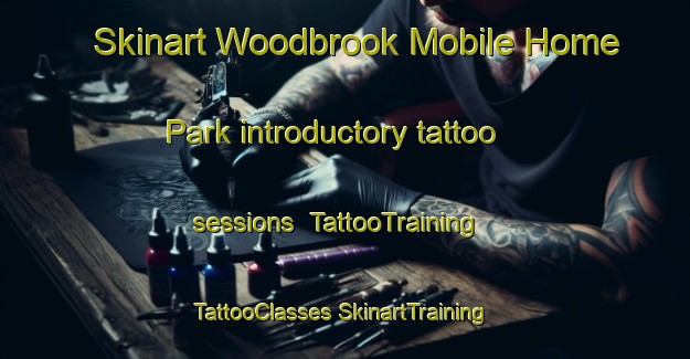 Skinart Woodbrook Mobile Home Park introductory tattoo sessions | #TattooTraining #TattooClasses #SkinartTraining-United States