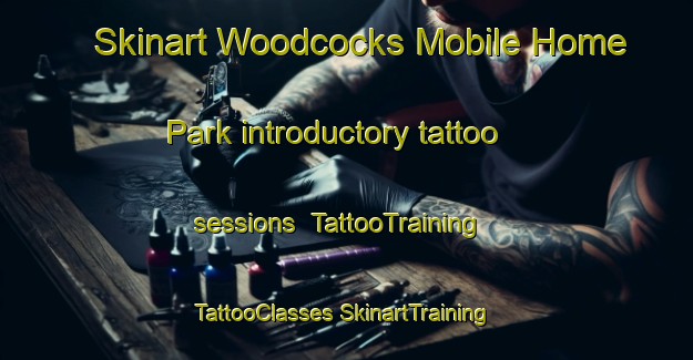 Skinart Woodcocks Mobile Home Park introductory tattoo sessions | #TattooTraining #TattooClasses #SkinartTraining-United States