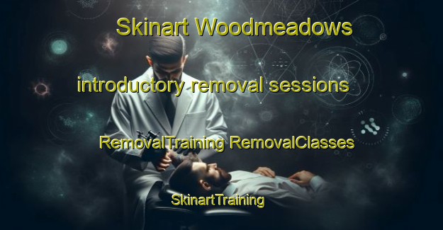 Skinart Woodmeadows introductory removal sessions | #RemovalTraining #RemovalClasses #SkinartTraining-United States