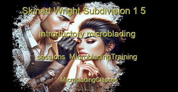 Skinart Wright Subdivision 1 5 introductory microblading sessions | #MicrobladingTraining #MicrobladingClasses #SkinartTraining-United States