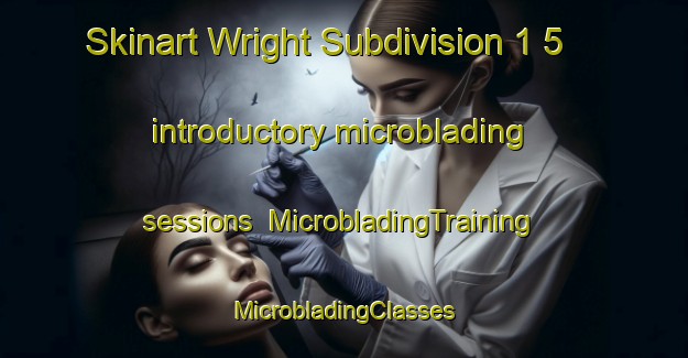 Skinart Wright Subdivision 1 5 introductory microblading sessions | #MicrobladingTraining #MicrobladingClasses #SkinartTraining-United States