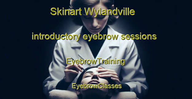 Skinart Wylandville introductory eyebrow sessions | EyebrowTraining | EyebrowClasses | SkinartTraining-United States