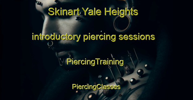 Skinart Yale Heights introductory piercing sessions | #PiercingTraining #PiercingClasses #SkinartTraining-United States