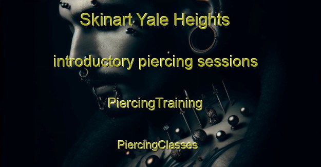 Skinart Yale Heights introductory piercing sessions | PiercingTraining | PiercingClasses | SkinartTraining-United States