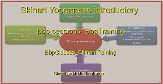 Skinart Yocemento introductory bbp sessions | BbpTraining | BbpClasses | SkinartTraining-United States