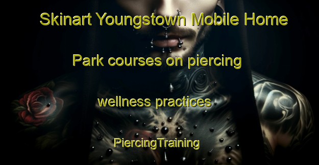 Skinart Youngstown Mobile Home Park courses on piercing wellness practices | #PiercingTraining #PiercingClasses #SkinartTraining-United States