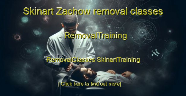 Skinart Zachow removal classes | #RemovalTraining #RemovalClasses #SkinartTraining-United States