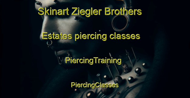 Skinart Ziegler Brothers Estates piercing classes | #PiercingTraining #PiercingClasses #SkinartTraining-United States